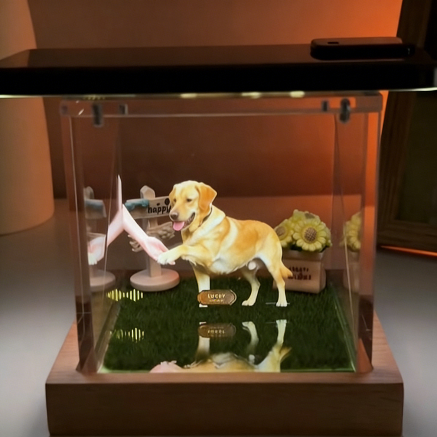 Lumina Boxes Custom Pet Digital Hologram House with Wooden Base