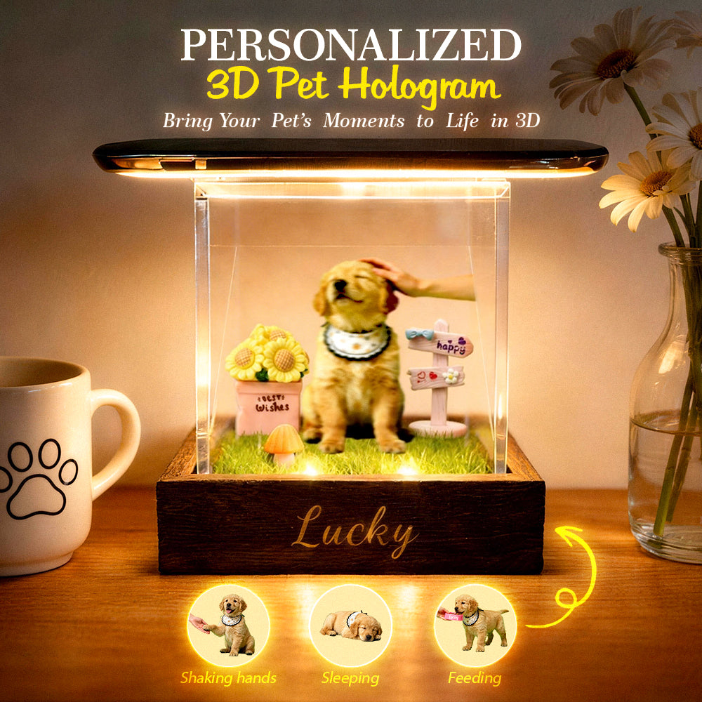 Lumina Boxes Custom Pet Digital Hologram House with Wooden Base