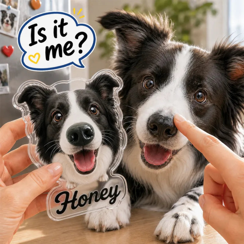 Custom Dog Nose Squishy Fridge Magnet Sticker – Personalized Pet Nose Squeeze Toy with Custom Face & Name
